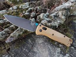 Image result for Beschorneria sp. (Biegel 5357)