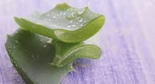 Herbal Remedies For Constipation Rhubarb Senna And More