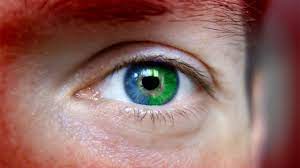 Berikut penyebab dan cara menghilangkannya. Mata Sebelah Kiri Kerap Sangat Berkedip Mrejoy