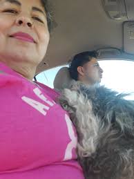 Lost dog found at shelter