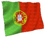 The portuguese flag is a rectangular flag with a green vertical rectangle on the left and a red square at the same height on the right. Portugal Flag Gif Portugal Picmix