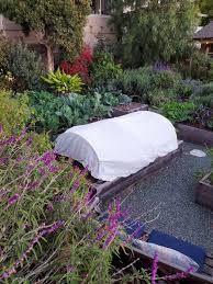 When the weather report calls for freezing temperatures overnight, don't stumble around in frost dates. 7 Ways To Protect Plants From Frost Damage Homestead And Chill