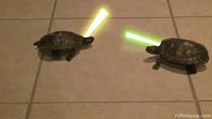 Turtle Star Wars Jedi Funny Funny Animal Videos Turtle