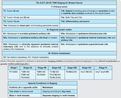 Image result for Breast Cancer Staging