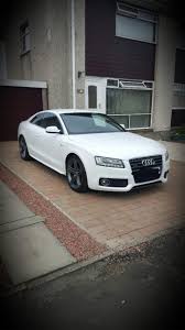 Image result for Ibis White 2012 S5