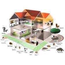 Termites are small insects mostly they cannot live in hot like in summer season it is difficult to control house fly. Yearly Industrial Pest Management Services In India Id 14719233888