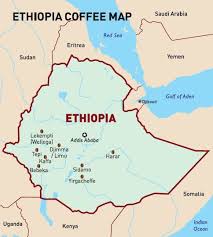 Kaffa Ethiopia Coffee Google Search Coffee Origin Coffee Infographic Coffee Roastery