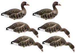 Great price on Final Approach Specklebelly decoys