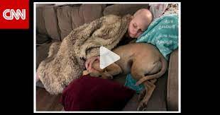 كلب ساعد فتاة على محاربة السرطان والتغلب عليه - CNN Arabic