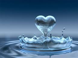 Liquido (feminine singular liquida, masculine plural liquidi, feminine plural liquide). El Hospital Liquido Red Dedalo