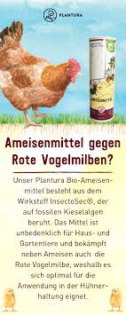 Ameisenmittel Insectosec 150 G In 2020 Ameisen Schadlinge Im Garten Milben Huhner