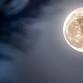 Full Beaver Moon Walk (18+) event image