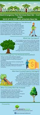 We did not find results for: Emergency Tree Service Cost Emergency Tree Service Near Me Cost Guide 2021