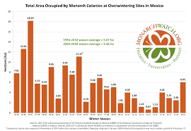 Good News For Eastern Monarch Butterfly Population The