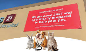 Petsadena animal hospital offers personalized and compassionate pet service to the pasadena area. Access Specialty Animal Hospitals Is Sued For Fraud Again