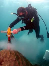 Featured as “the Mystery Galleon” in Don Ferguson's video about the 1733  fleet wrecks entitled “Galleon Hunter”