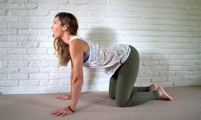 Cat pose and cow pose can be practiced separately or together, depending on your body's needs. How To Do Lion Pose Simhasana And Its Variations Doyou