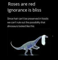 Roses are red, violets are blue, hydrangeas can be either, depending on al(+2). roses are red,. I Love Poetry Roses Are Red Violets Are Blue Know Your Meme