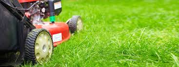 The businesses listed also serve surrounding cities and neighborhoods including ocala fl, belleview fl, and summerfield fl. Broward County Florida Lawn Care Services Eps Landscaping Tree Service Llc