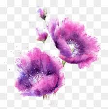 Lavender flower purple wisteria, painted lavender wisteria flowers, purple flowers, watercolor painting, violet png. Pink And Purple Flowers Clip Art Transparent Png Clipart Images Free Download Page 5 Clipartmax