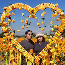 karina del castillo (@karinadc2115) • Instagram photos and videos