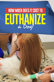 A tired, relaxing, falling asleep feeling is what your pet experiences. How Much Does It Cost To Euthanize A Dog