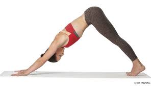Step 1 Yoga Poses Poses Best Yoga