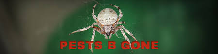 325 american pest control jobs available on indeed.com. Pest B Gone Exterminator Pest Control Mason City Ia Globegazette Com