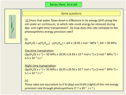 Diffusion is the passive scattering of a concentration of solute out into the solution. Water Transport And Energy Fricke 2017 Plant Cell Amp Environment Wiley Online Library