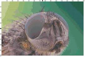 I have free cross stitch patterns of hummingbirds and other birds, as well as a. Which Cross Stitch Pattern Software Is Best Advanced Cross Stitch