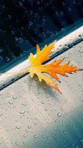 Wallpaper Fondos De Pantalla Sigueme Rain Wallpapers Rainy Wallpaper Iphone Backgrounds Nature