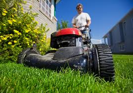 To prevent crabgrass and spurge. 10 Things Lawn Services Won T Tell You Marketwatch
