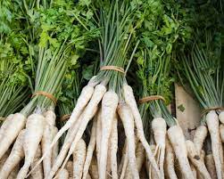 Entdecken sie den besonderen geschmack und probieren sie unsere leckeren rezepte! Petersilienwurzel Pflanzen Pflegen Und Ernten Mein Schoner Garten
