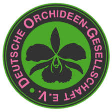 Image result for Liparis killmanniae