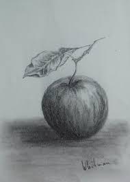 Pin On Art Drawings