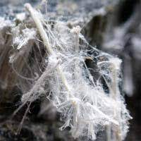 Maybe you would like to learn more about one of these? Could Asbestos Play A Role In Kidney Cancer As Well As Mesothelioma Surviving Mesothelioma