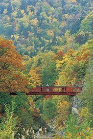 銀河 流星の滝の紅葉 北海道 紅葉名所2020 ウォーカープラス 紅葉北海道 名所 紅葉