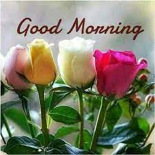 Check spelling or type a new query. Pin By Nicole Brinkmann On Good Morning Good Morning Flowers Flower Quotes Beautiful Flowers