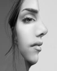 Image Result For Black And White Half Face Portrait Photography Ideas Illusion Photography Illusion Photography Ideas Optical Illusions Art