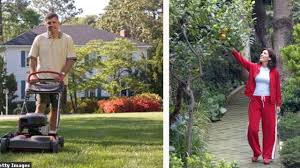 Dans Mon Jardin J Ai Le Droit De Cote Maison
