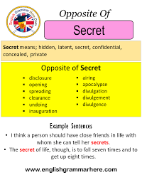 What he did to me that night was actual torture. Opposite Of Secret Antonyms Of Secret Meaning And Example Sentences English Grammar Here