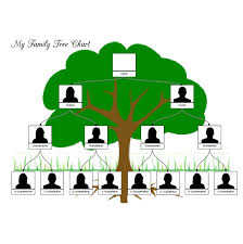Family Tree Template Family Tree Template Pinterest