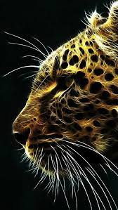 Iphone 5 Wallpapers Leopard Wallpaper Cool Iphone Wallpapers Hd Animal Wallpaper