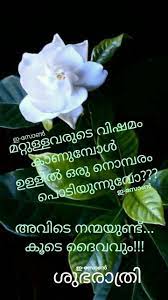 Pin By Eron On Good Night Malayalam Good Morning Romantic Good Night Quotes Good Night Greetings