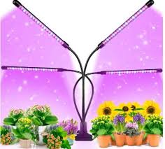 Check spelling or type a new query. 8 Best Led Grow Lights For Indoor Plants Gardenine