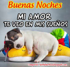 Imagenes De Amor Buenas Noches Buenas Noches Amor Mio Imagenes De Buenas Noches Buenas Noches Como son facebook, twitter o instagram. buenas noches amor mio