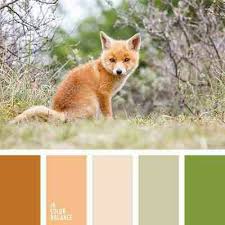 Color Palette Summer Color Palette Orange Color Palettes