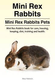 Buy Mini Rex Rabbits Mini Rex Rabbits Pets Mini Rex Rabbits Book For Care Housing Keeping Diet Training And Health Book Online At Low Prices In India Mini Rex Rabbits Mini
