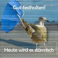 Der hindernislauf ist ein großartiger ort für ein schönes mädchen foto. Heute Wird Es Sturmisch Sturmisch Kaltes Wetter Lustig Wetter