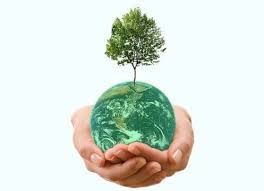 ¿por qué es importante para el medioambiente? Dia De La Tierra 2020 Imagenes Frases Actividades